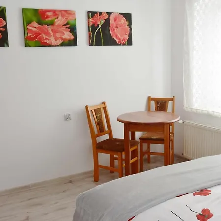 W Ziolowym Ogrodzie - Pokoje Z Dostepna Kuchnia, Apartament Kudowa-Zdrój Exteriér fotografie